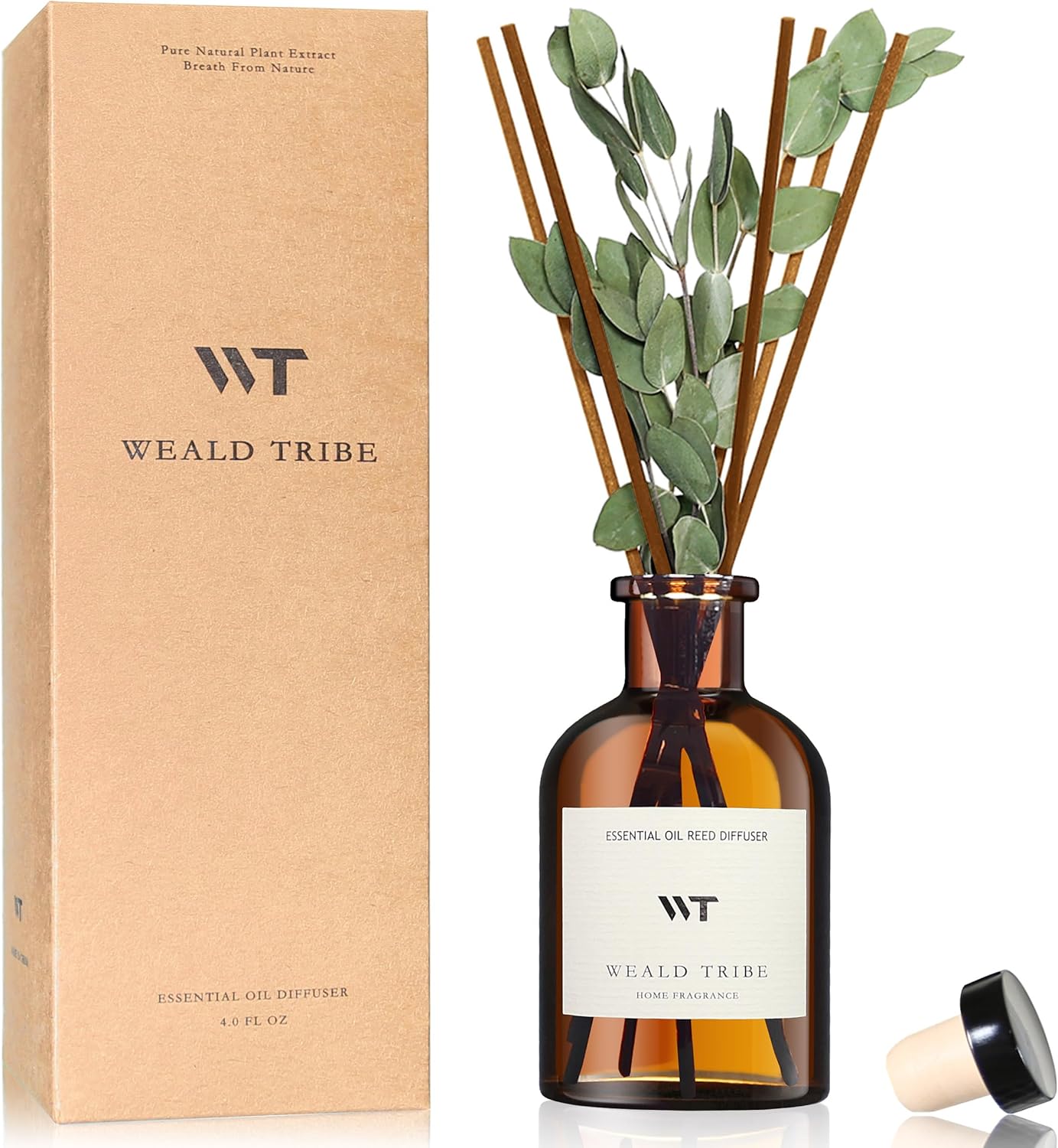 Home Fragrance That Lasts Long - Eucalyptus & Lavender Reed Diffuser Set,