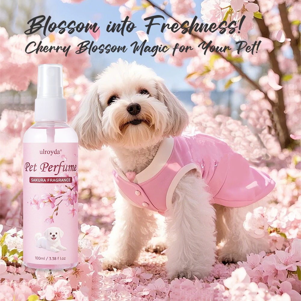 Home Fragrance That Lasts Long - Sakura Pet Perfume Spray Long Lasting