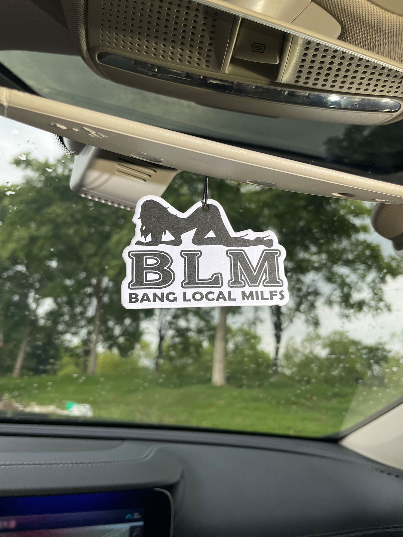 Blm Bang Local Milf/Fresh Frag – Home Fragrance That Lasts Long Bewertung und Preis