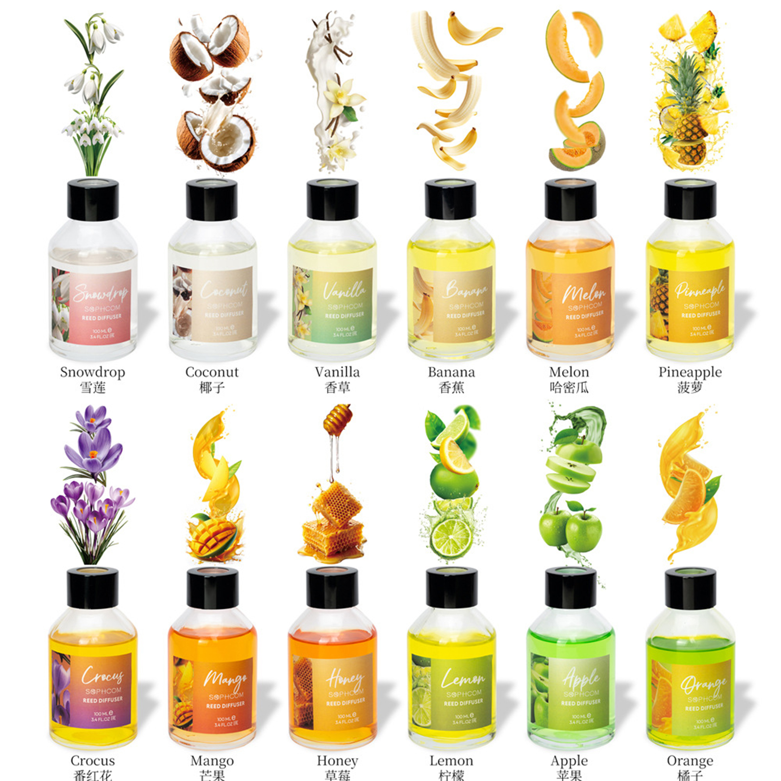 100ml Floral Fruity Reed Diffu – Home Fragrance That Lasts Long Bewertung und Preis